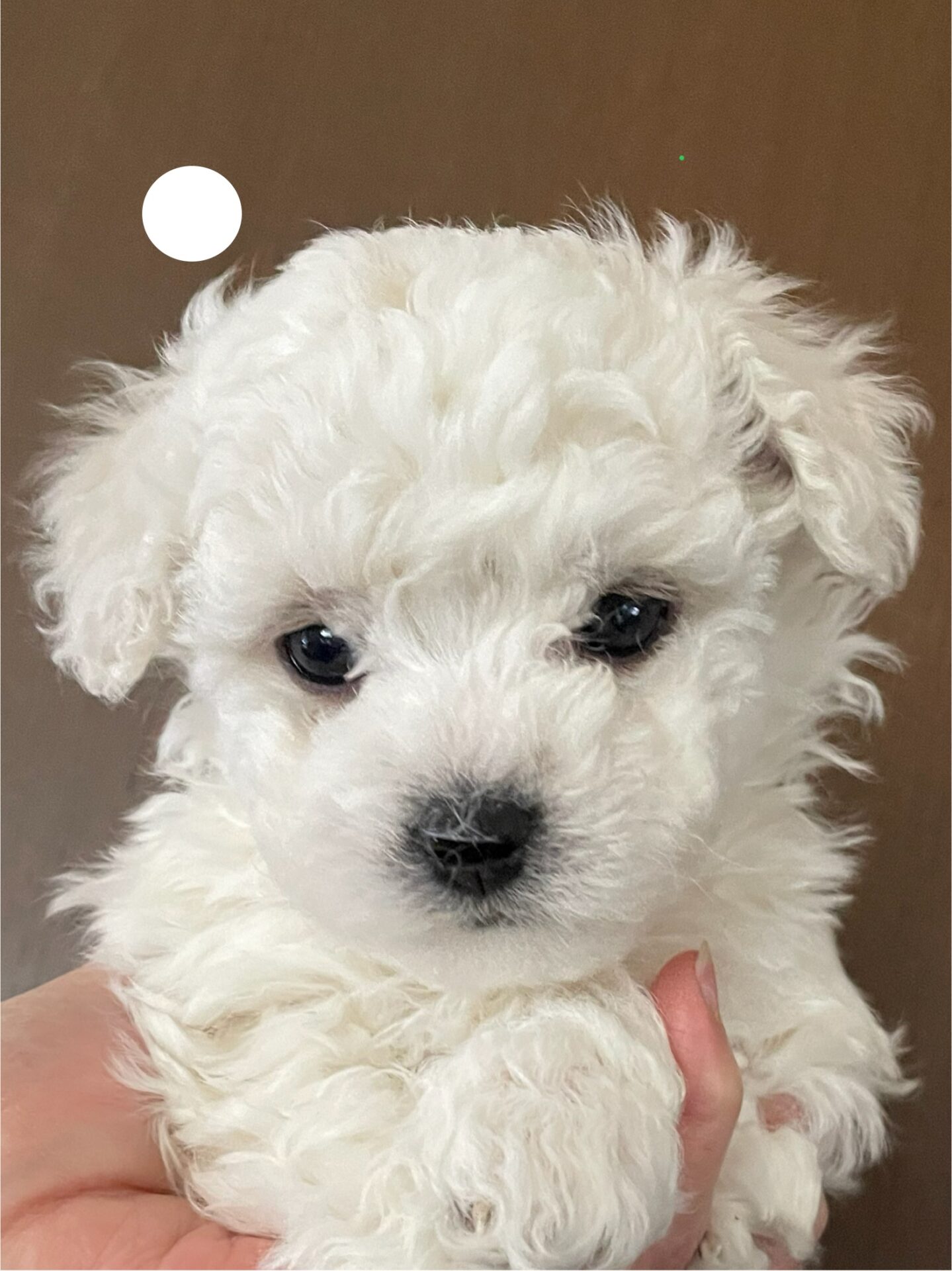 生後1ヶ月を過ぎ、離乳食モリモリ食べてます🥰